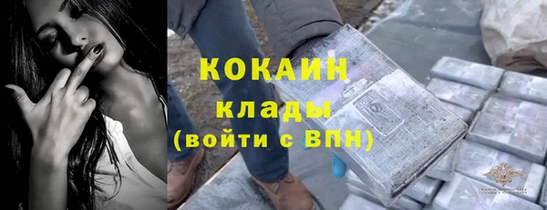 СК Гусев