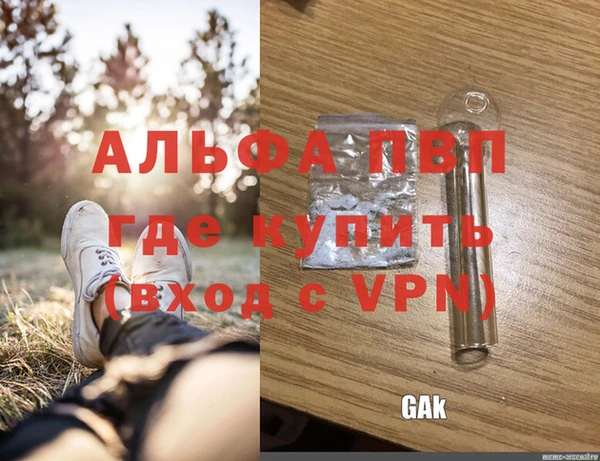 стаф Гусиноозёрск