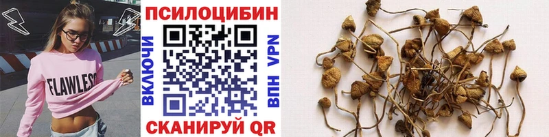 мега tor  Облучье  Псилоцибиновые грибы ЛСД 