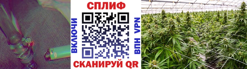 Бошки марихуана Amnesia Облучье
